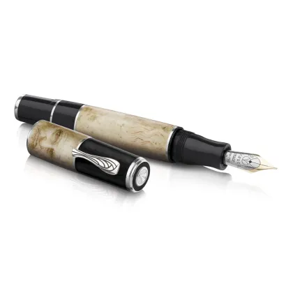 Picture An absolutely unique Leonardo feather, hand-painted