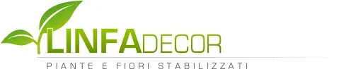 Linfa Decor