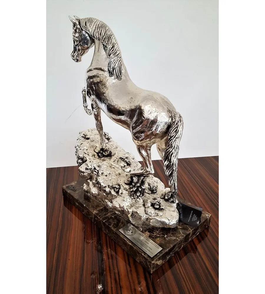 picture 4 Arabian Horse - a bust for horse riders