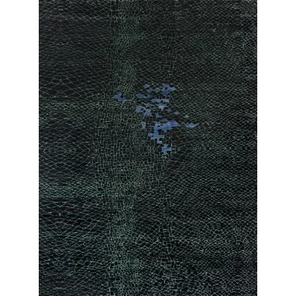 Picture Intriguing carpet for both the living room and office – Fort Street Studio