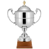 Picture The Italian cup as an ideal distinction at sports tournaments