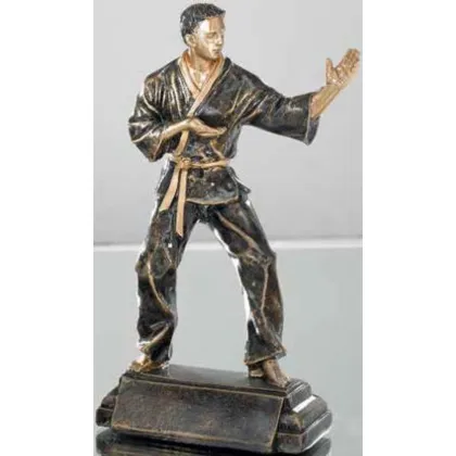 Zdjęcie Statuetka na zawody judo – Erre Emme