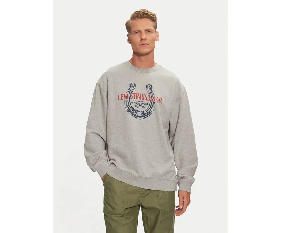 obrazek 1 Levi's® Bluza Graphic 38712-0313 Szary Relaxed Fit