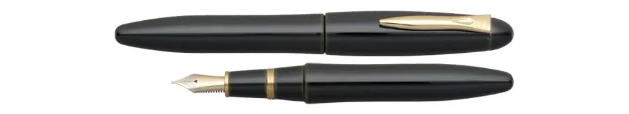 picture 1 Prestigious Izumo-Tamenuri Soratame Fountain Pen