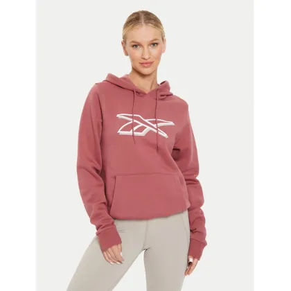 Zdjęcie Reebok Bluza Graphic OTH Hoodia 100202148 Brązowy Regular Fit