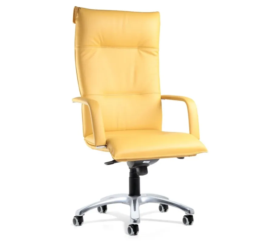 picture 1 Leather chair of the Italian brand Zefla