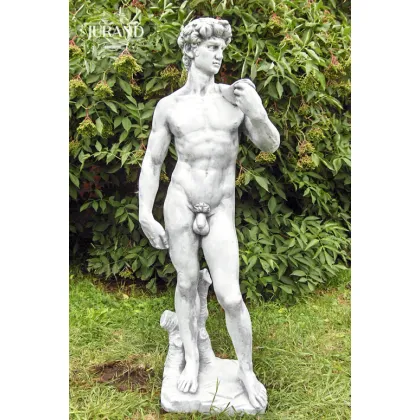 Zdjęcie Wysokiej jakości figura Davida