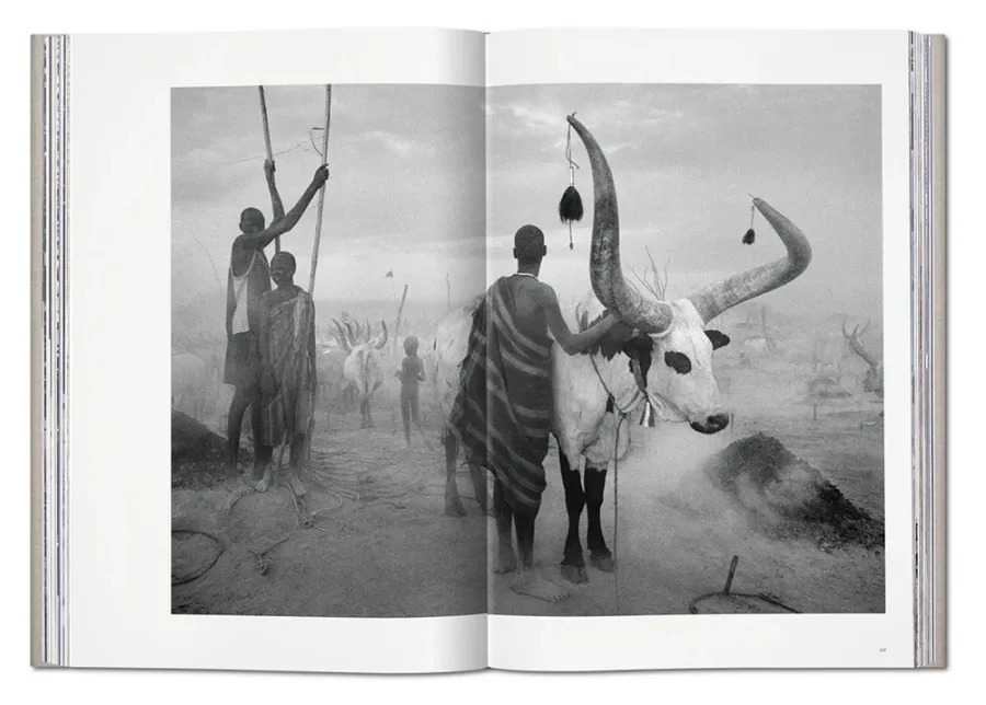 obrazek 10 Książka Sebastião Salgado. GENESIS - Taschen