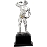 Picture A statuette of a bodybuilder