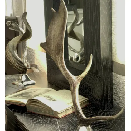 Picture Elegant antlers - nickel-plated brass