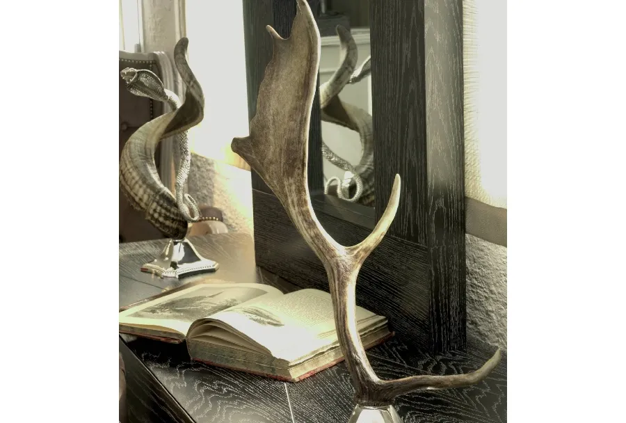 obrazek 1 Eleganckie poroże - niklowany mosiądz