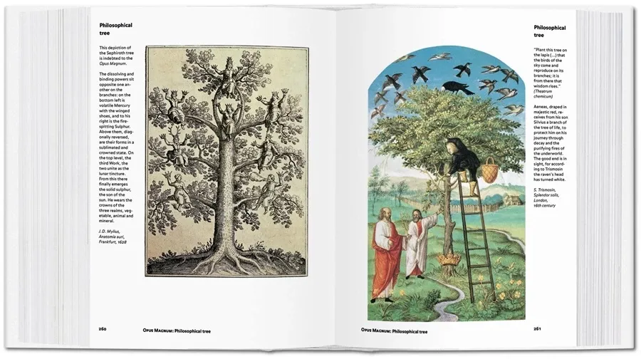 obrazek 7 Książka Alchemia i mistycyzm - Taschen