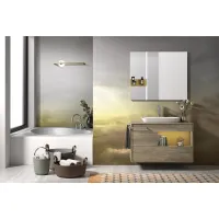 Picture A minimalist set of bathroom furniture from Italy