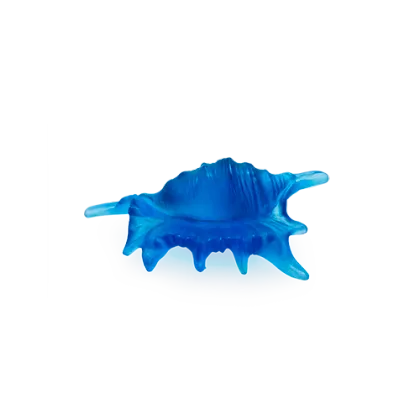 Zdjęcie Stylowa mała rzeźba muszli z Morza Koralowego