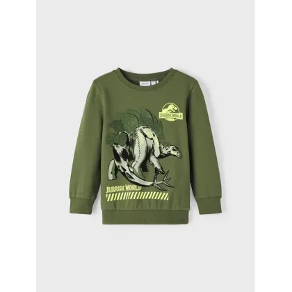 Zdjęcie NAME IT Bluza 13219775 Zielony Standard Fit