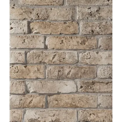 Zdjęcie 26x6,5 cm DS - (V6 cappuccino) - cegła betonowa na ścianę