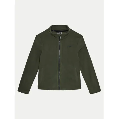 Zdjęcie 4F Polar 4FJWMM00TFLEM245 Khaki Regular Fit