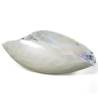 Picture Elegant Italian bowl made of mother of pearl and Murano glass
