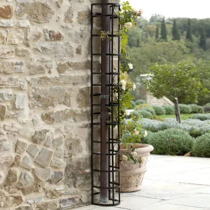 Zdjęcie Treliaż Vitot