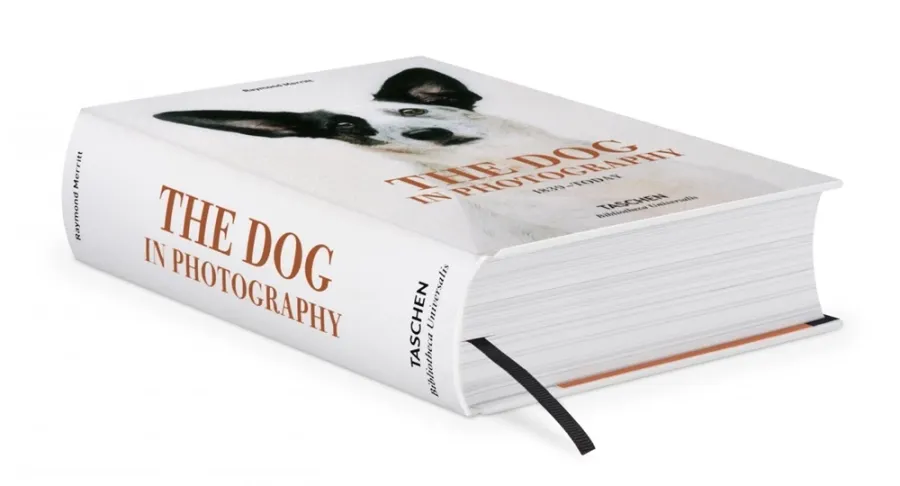 obrazek 2 Książka The Dog in Photography 1839–Today - Taschen