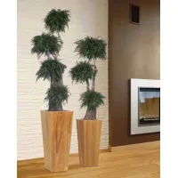 Picture A stylish large tree made of stabilized thuja