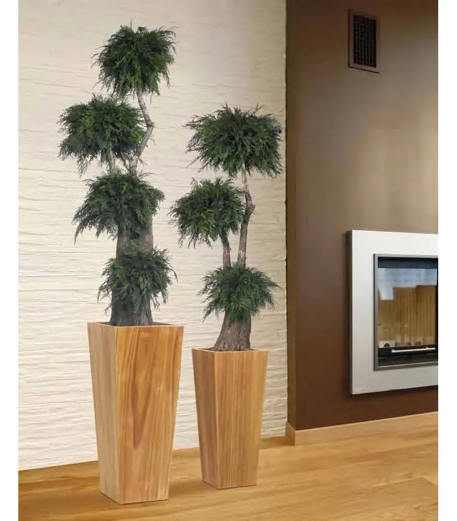obrazek 1 Stylowe duże drzewko z ustabilizowanej tui
