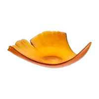 Picture Beautiful, stylish plant bowl – Daum brand