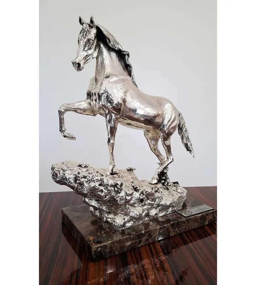 picture 5 Arabian Horse - a bust for horse riders