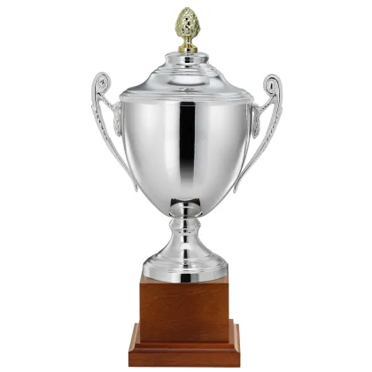 Zdjęcie Prosto od włoskiej manufaktury trofeum sportowe