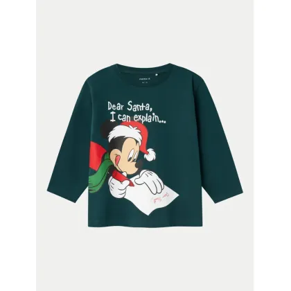 Zdjęcie NAME IT Bluzka 13234159 Zielony Standard Fit