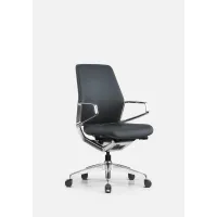 Picture Luxurious Cyber office chair