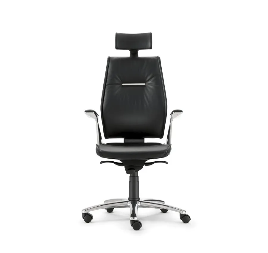 picture 4 Sedna study and office chair with a high backrest