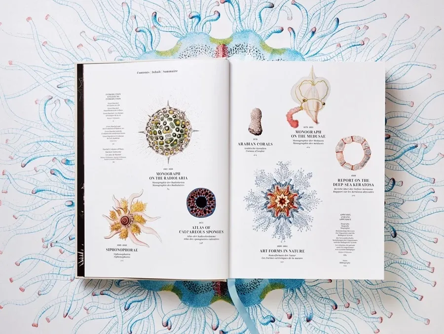 obrazek 4 Książka Sztuka i nauka Ernsta Haeckla - Taschen