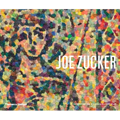 Zdjęcie Książka  Joe Zucker - Thames & Hudson