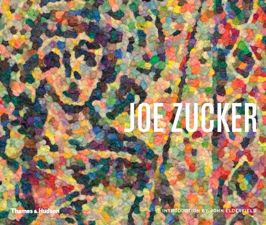 obrazek 1 Książka  Joe Zucker - Thames & Hudson