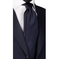 Picture Men's navy blue silk tie