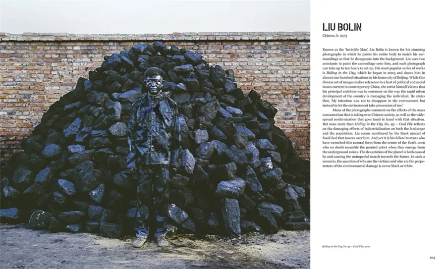 obrazek 7 Książka Sztuka i ekologia teraz - Thames & Hudson