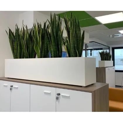 Zdjęcie Funkcjonalna donica Hydroponics w wielu rozmiarach i 3 kolorach do wyboru