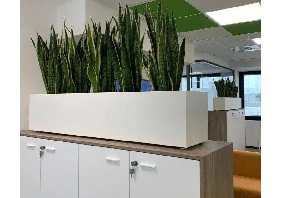 obrazek 1 Funkcjonalna donica Hydroponics w wielu rozmiarach i 3 kolorach do wyboru