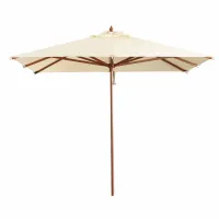Zdjęcie Parasol Barnet
