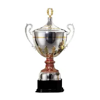 Zdjęcie Eleganckie trofeum sportowe z Włoch - różne rozmiary