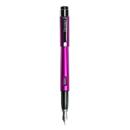 Picture Perfect as a gift for women - Magnum fountain pen