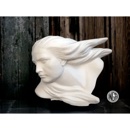 Zdjęcie Wyjatkowe gipsowe popiersie Busto Tempesta