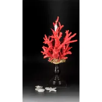 Picture Ceramic candlestick in the shape of a coral on a base