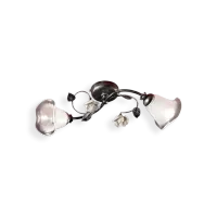 Picture Plafond with two lights in a classic style from Italy