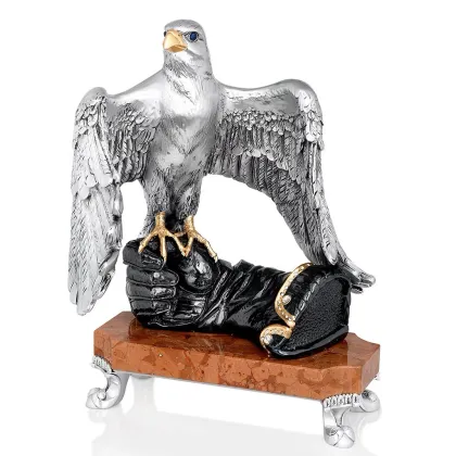 Zdjęcie Przepiękny jastrząb na biurko