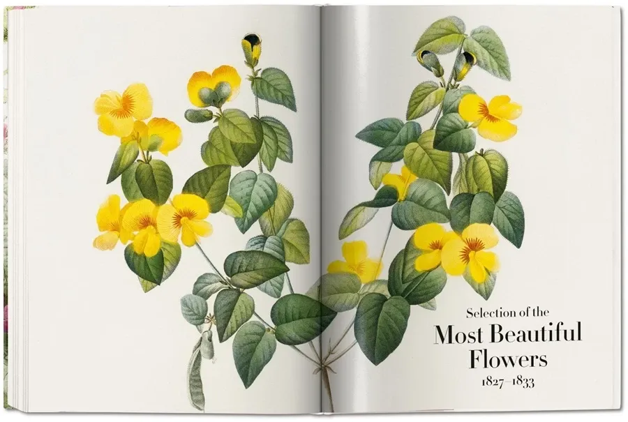 obrazek 7 Książka Redouté. The Book of Flowers - Taschen