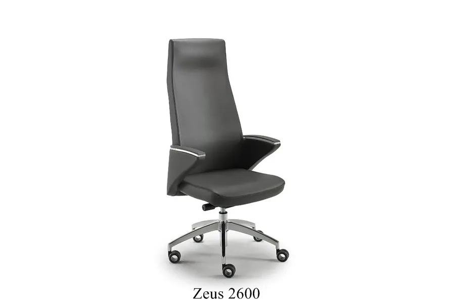 picture 1 Zeus armchair made of top quality leather