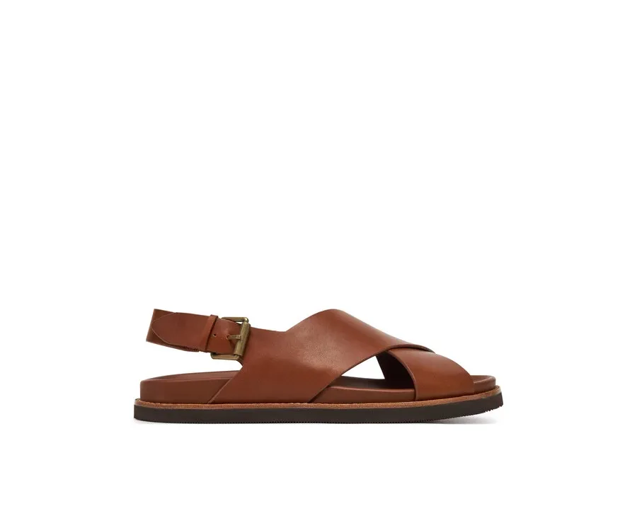 obrazek 1 Polo Ralph Lauren Sandały 803961444001 Brązowy