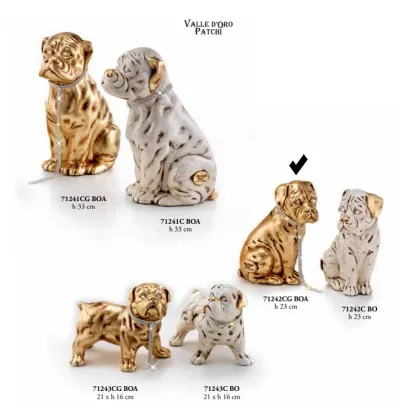 Picture Little boxer sitting with a leash - Valle d'oro Patchi